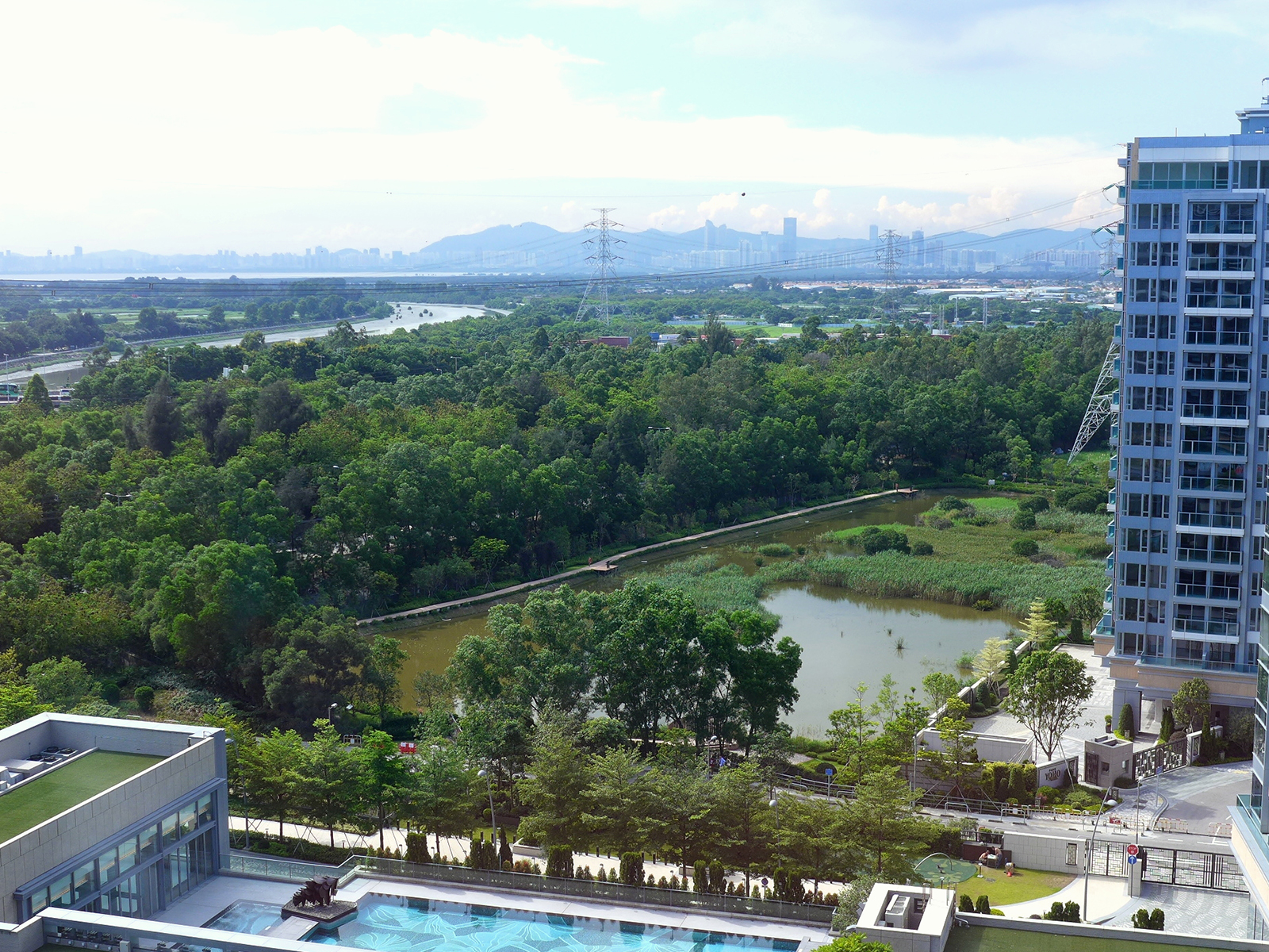 Sha Po Marsh 沙埔濕地